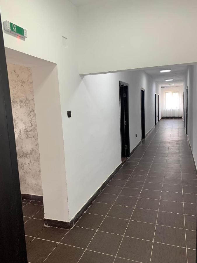 Sisesti  Pensiunea Alin酒店 外观 照片
